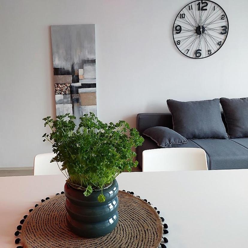 Apartment Urban Nest, Sunny 4 Stars *